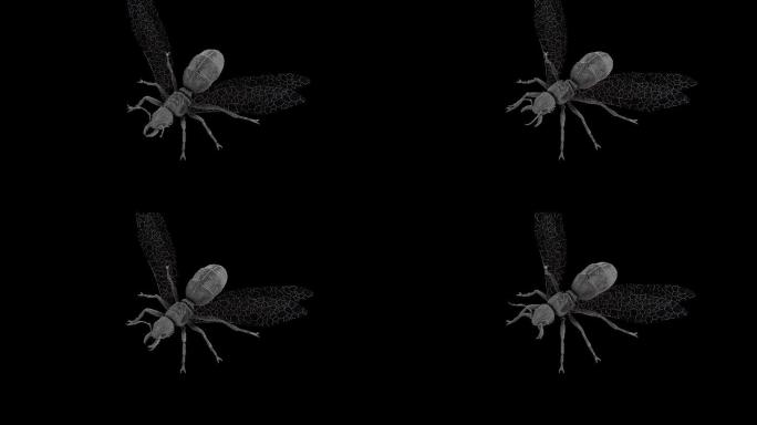 带翅膀的蚂蚁撕咬动画(1)
