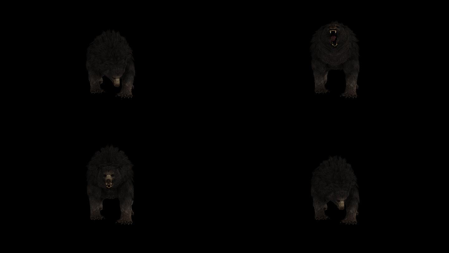 黑熊嚎叫动画(6)
