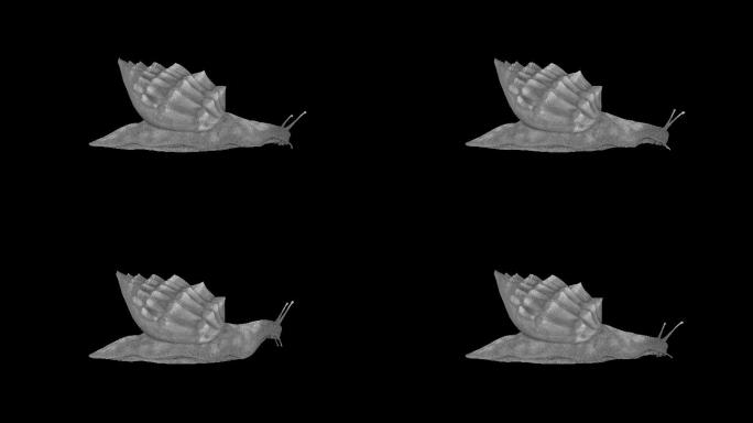 蜗牛觅食动画(2)