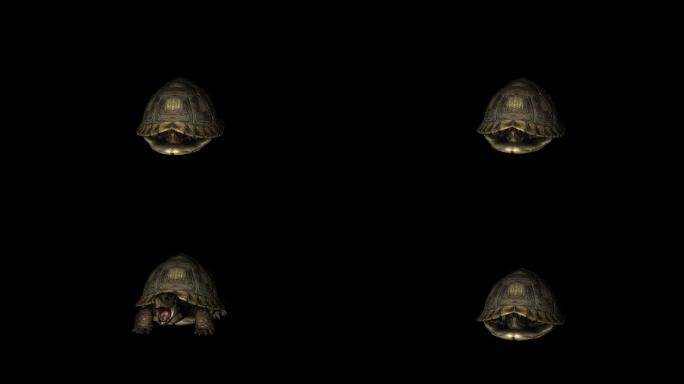 乌龟攻击袭击动画(15)