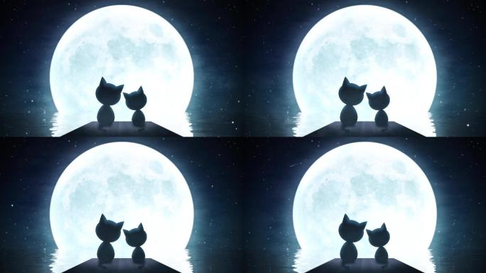 两只猫咪月下依偎循环视频