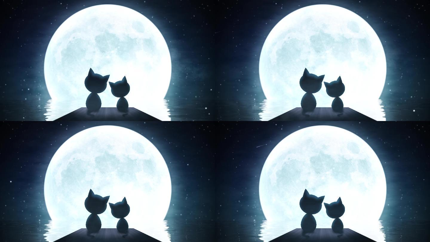 两只猫咪月下依偎循环视频