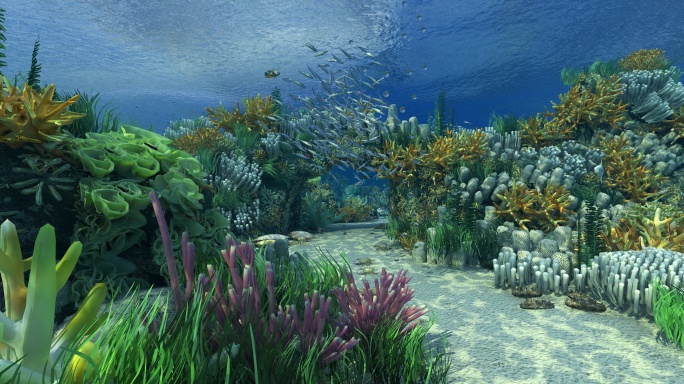 8K写实唯美海底世界