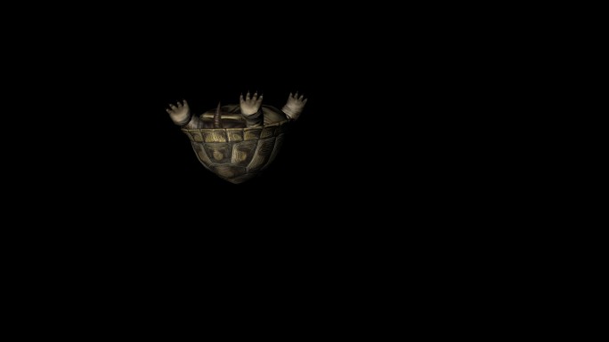 乌龟死亡动画(4)