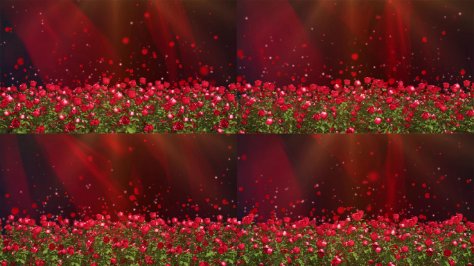 红色玫瑰花瓣飘散舞台节目背景视频素材