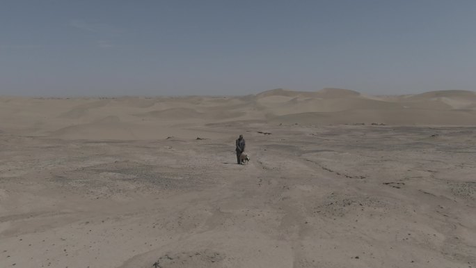 沙漠孤独的牧羊人