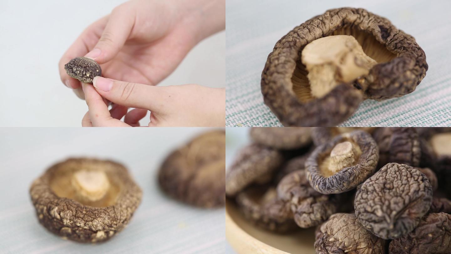 香菇食用菌香菇细节特写有机香菇