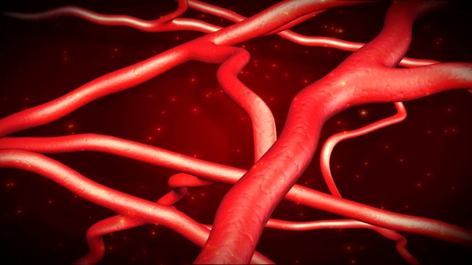 软化血管改善血管微循环