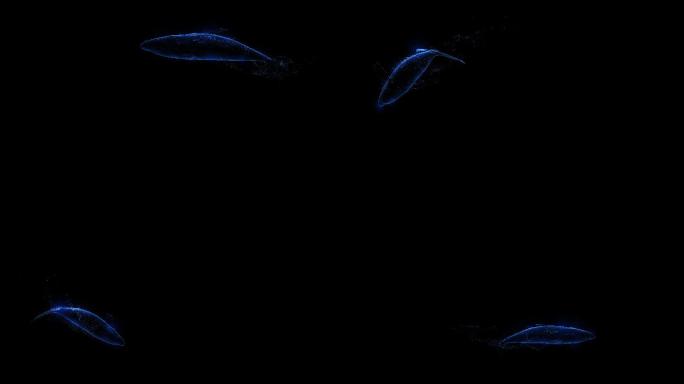 4K蓝色粒子光线鲸鱼循环通道