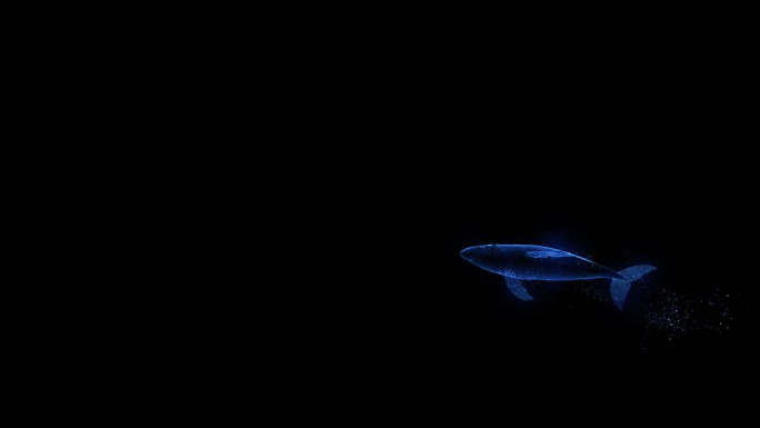 4K光线鲸鱼游动出入画合成