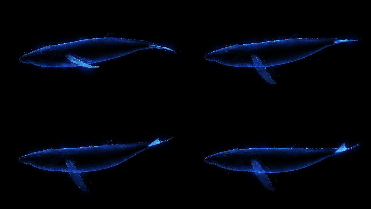 4K光影鲸鱼游动循环通道