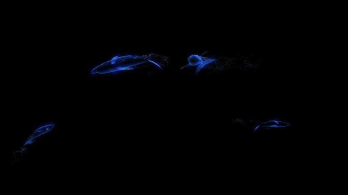 4K光影鲸鱼全屏游动循环通道