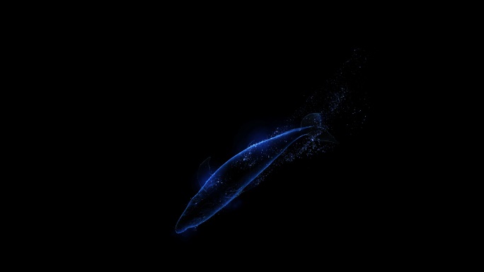 4K粒子鲸鱼游动循环通道