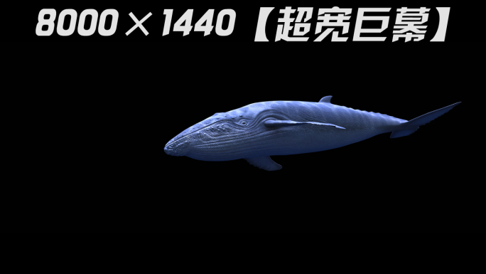 8K超宽屏鲸鱼游动循环通道