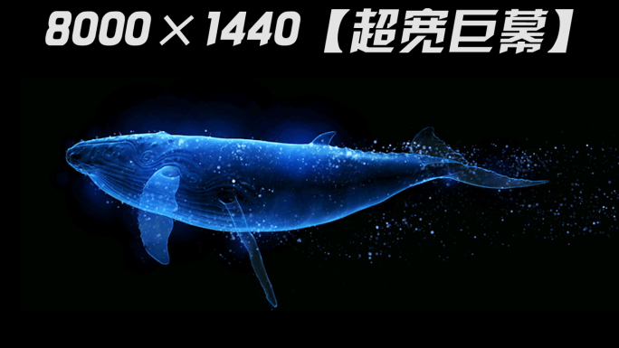 8K粒子光影鲸鱼游动循环通道