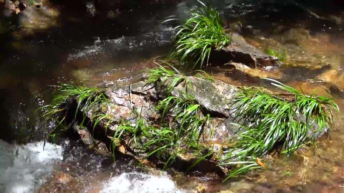 原始森林瀑布流水、清澈流水、溪流高清实拍