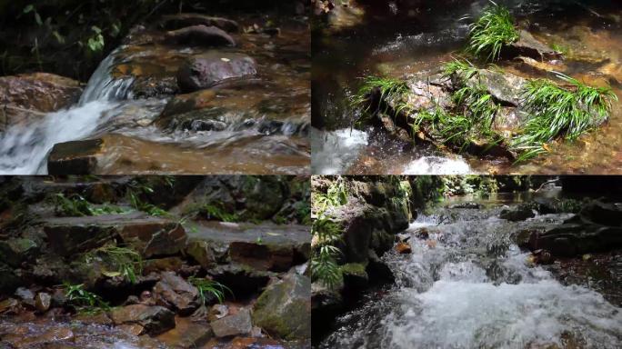 原始森林瀑布流水、清澈流水、溪流高清实拍