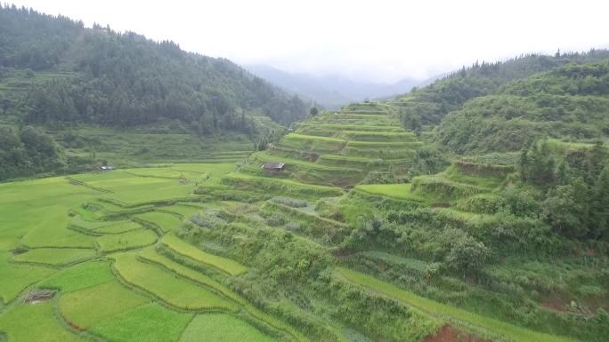 贵州乡村田园风光航拍