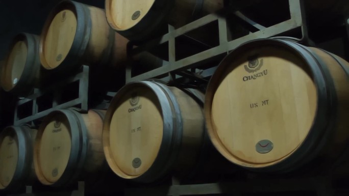 酒窖地下酒窖葡萄酒窖藏橡木桶酒