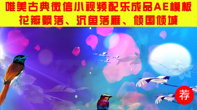 沉鱼落雁之落雁手手机版微信小视频AE模板