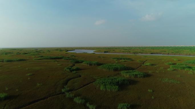 杭州湾湿地夕阳逆光水面光反射大面积