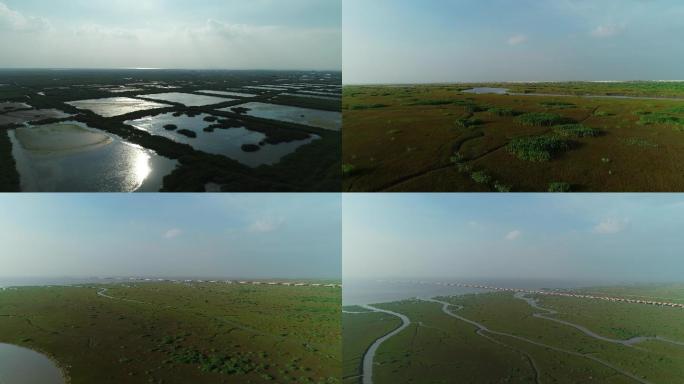 杭州湾湿地夕阳逆光水面光反射大面积