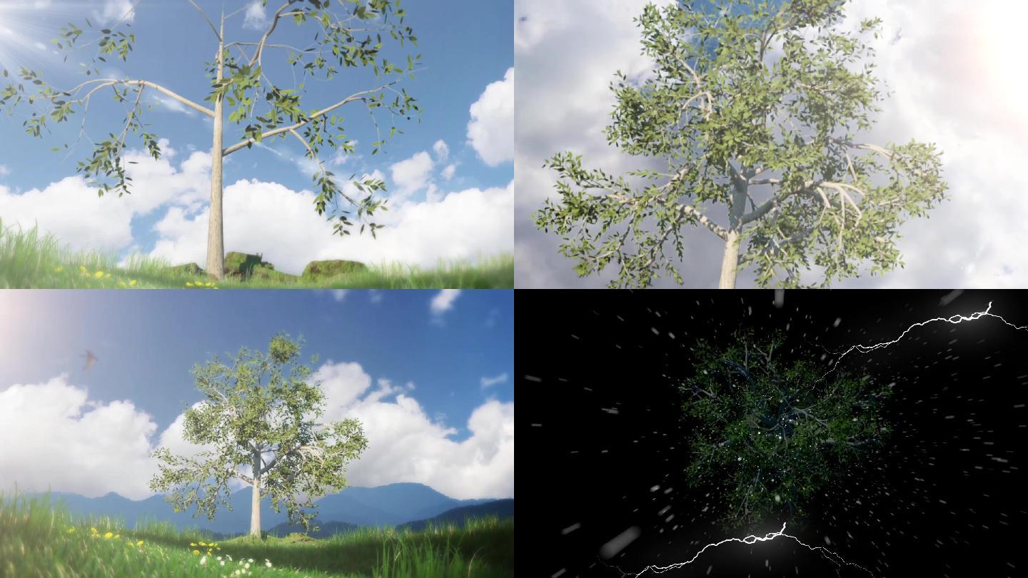 树三维生长风雨长大动画效果