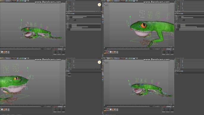 C4D三维青蛙模型带材质绑定动画