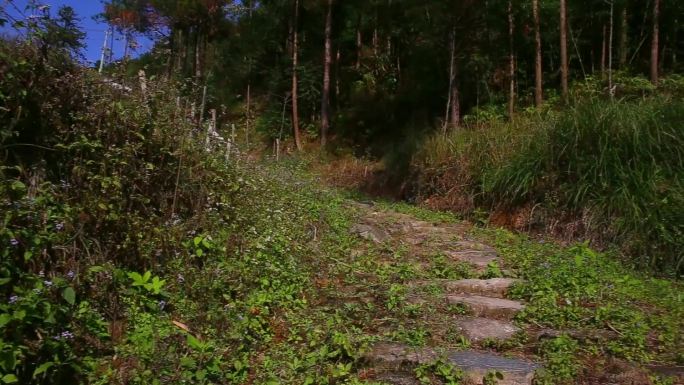 蜿蜒曲折山间小路石板小路曲折小路