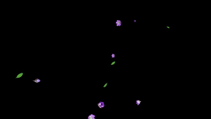 无缝循环花瓣缓慢飘-带透明通道