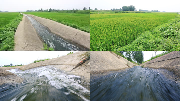 农业水利灌溉水稻水渠