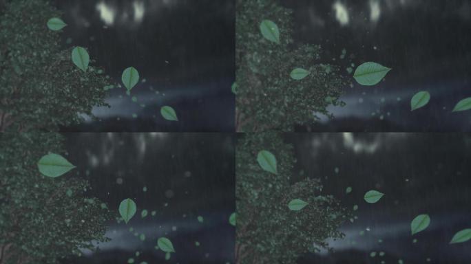 下雨落叶树叶循环动画中景