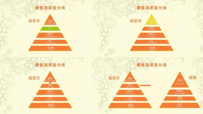 金字塔等级对比图ae模板