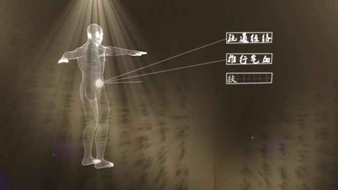 中医三维人体穴位特效文字