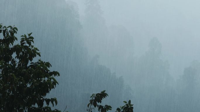 4K山中大雨烟雨蒙蒙02