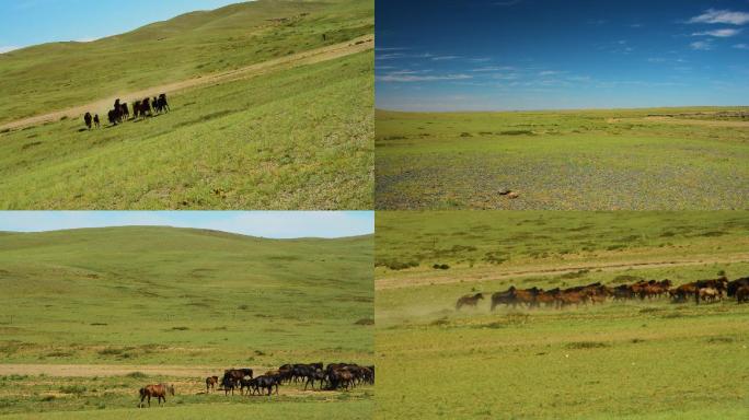 内蒙古草原2
