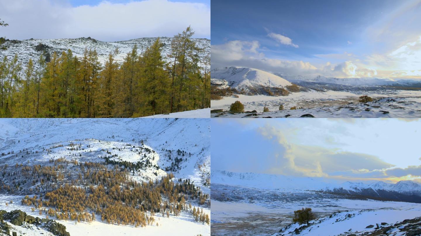 新疆喀纳斯雪景风光