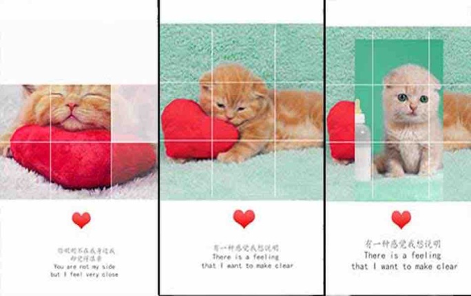 表白节日抖音爱心创意时尚写真图文展示