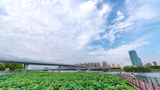 太原汾河两岸风景