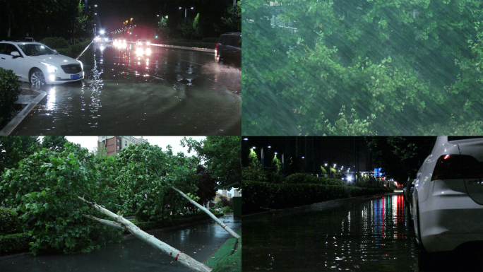 雷电狂风暴雨袭击城市树木摧折积水严重