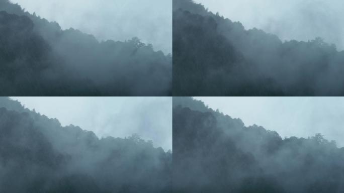 山中大雨雨雾云雾19