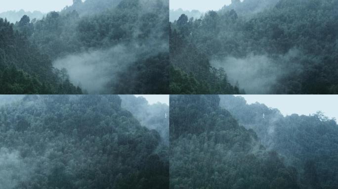 山中大雨雨雾云雾23