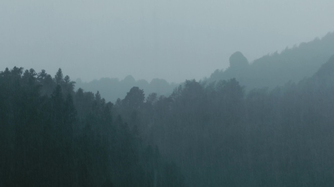 4K山中大雨雨雾云雾12