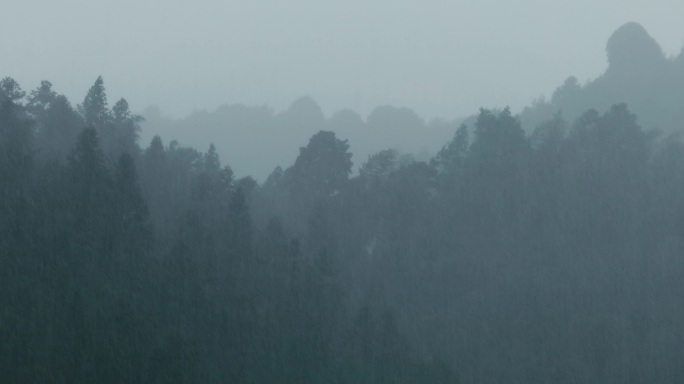 4K山中大雨雨雾云雾10