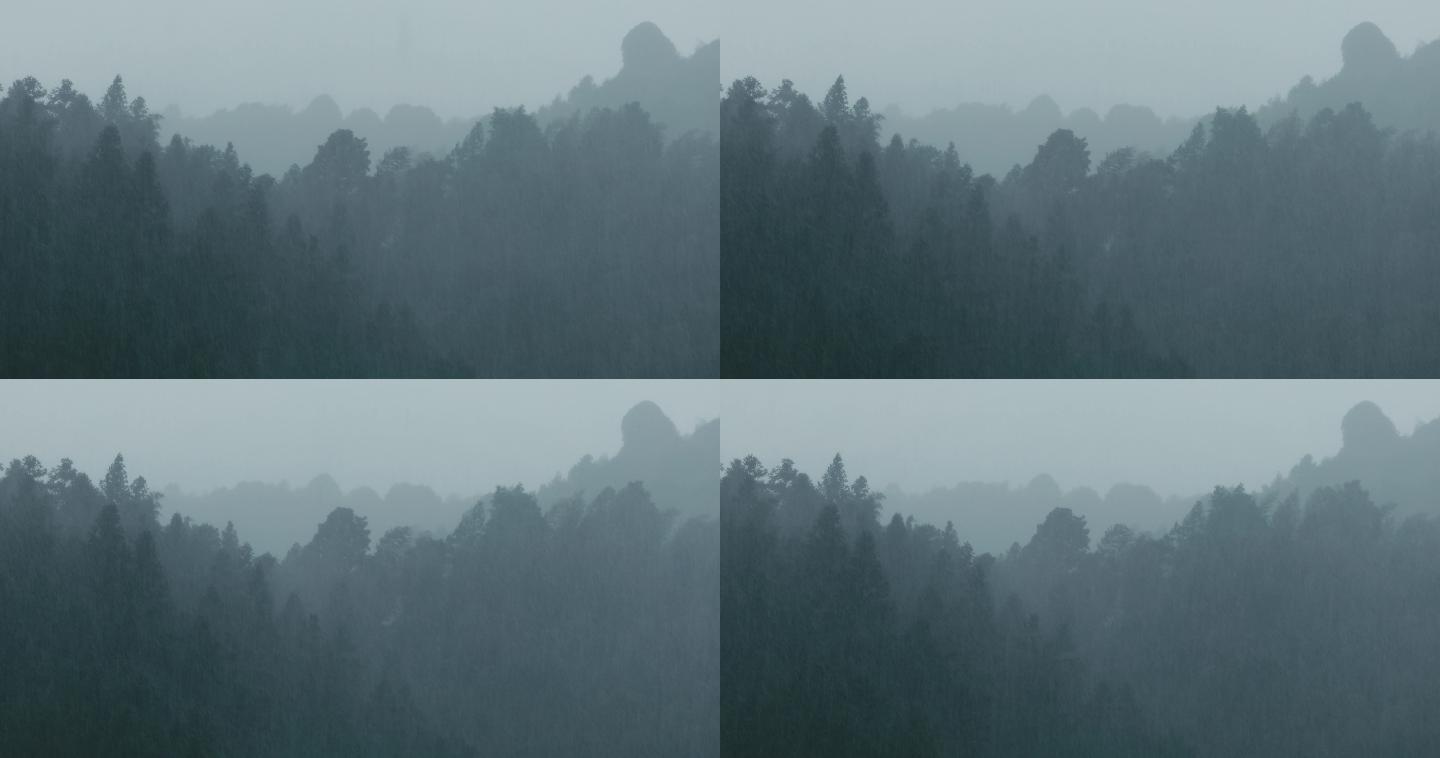山中大雨雨雾云雾10
