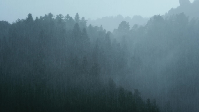 4K山中大雨雨雾云雾16