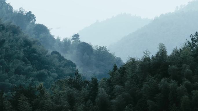 4K山中大雨雨雾云雾27