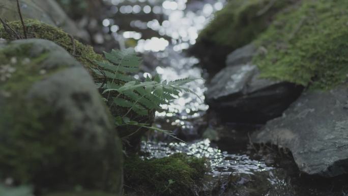 山里溪水小瀑布特写