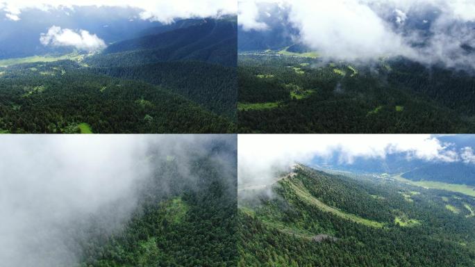 航拍林海山林高山树林宣传片头