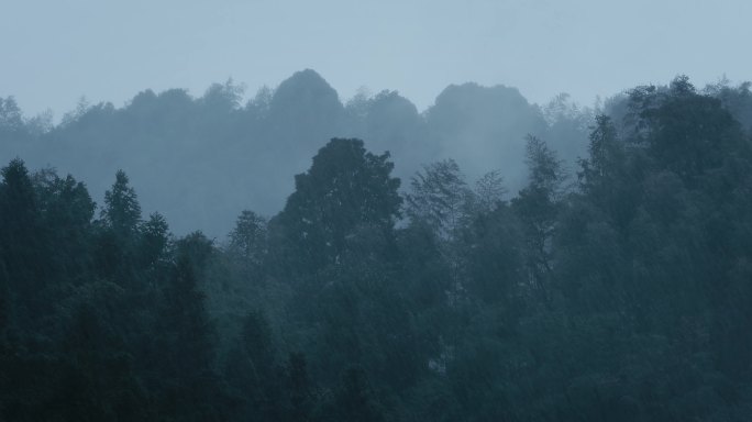 4K山中大雨雨雾云雾22